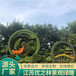 芜湖无为74周年绿雕制作厂家
