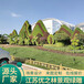 涉县五色草造型绿雕生产多图