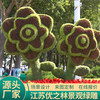 福安2023春节绿雕供货价格景区五色草动植物形象逼真