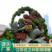 泾县城市景观绿雕厂家供货