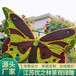 定西通渭23年国庆节绿雕生产多图