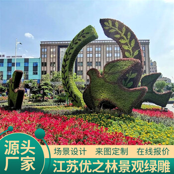 南京五色草造型定制价格