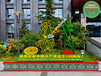 扬州江都国庆绿雕厂商出售