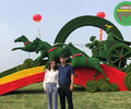 平涼涇川國慶節綠雕案例圖片