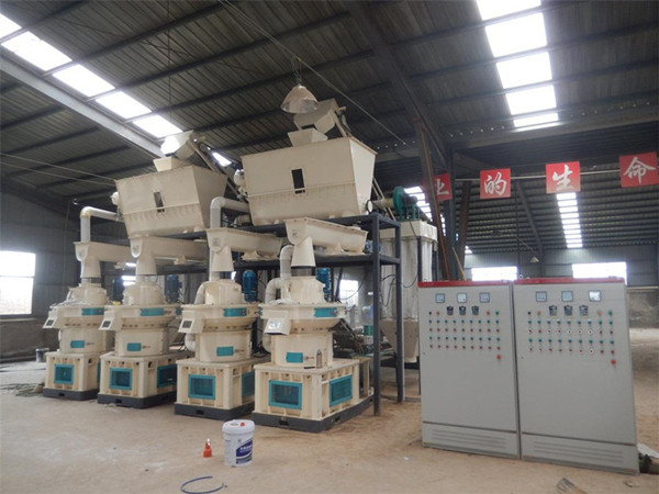 湖南湘潭时产2吨木质颗粒机设备-刨花颗粒机工作原理