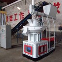 甘肅農(nóng)業(yè)生物質(zhì)顆粒機(jī)廠家報價