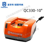 富世華BLi200鋰電池QC330充電器鋰電高枝鋸吹風(fēng)機(jī)綠籬機(jī)通用配件