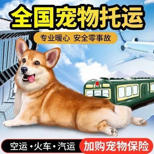 阳泉 宠物托运运输 靠谱 宠物火车托运