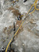 新疆克拉玛依挖机带动式劈石器一天可裂多少吨