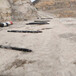新疆塔城二氧化碳气体爆破设备厂家