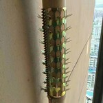 燃氣管道防爬刺釘狼牙棒廠區圍墻防爬刺釘別墅陽臺防爬刺釘刺網