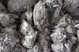 江苏泗洪含银锡块回收、佛山锡条回收
