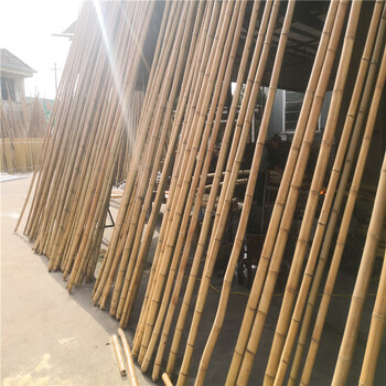 玉溪易门竹篱笆围墙实木碳化木栅栏竹篱笆竹子护栏
