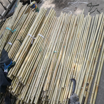 苏州园区碳化竹竿网格花架竹篱笆竹子护栏