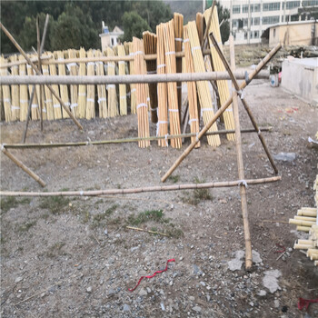芜湖镜湖区菜园竹拉网锌钢道路护栏竹篱笆竹子护栏