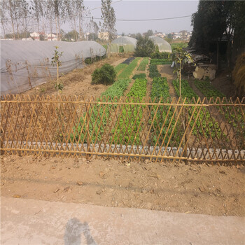 抚州金溪菜地护栏水泥栏杆竹篱笆竹子护栏