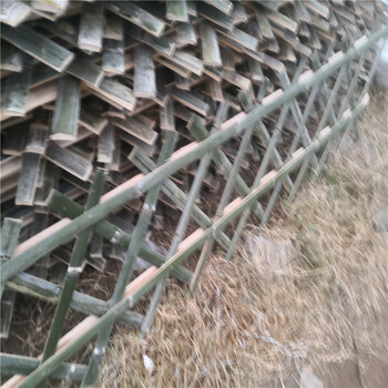 鄂尔多斯准格尔旗绿化带花园栏杆碳化木围栏竹篱笆竹子护栏