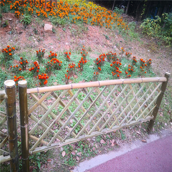 潍坊安丘菜地护栏田园白色木桩竹篱笆竹子护栏