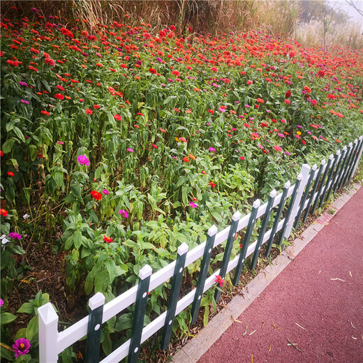 湘潭韶山菜园护栏大小篱笆竹篱笆竹子护栏