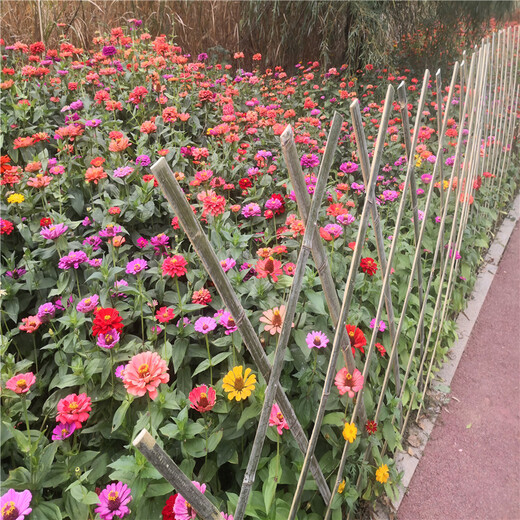 宝坻新农村围栏户外庭院菜园竹篱笆竹子护栏