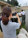 花鰱魚苗（鳙魚、胖頭魚、大頭鰱）