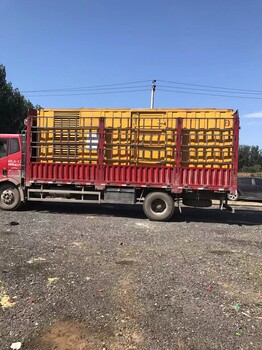 石渠發(fā)電機租賃費用—歡迎新老客戶實地考察價格優(yōu)動力足