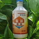 蛋雞養(yǎng)殖，滑液囊支原體為什么難防治？