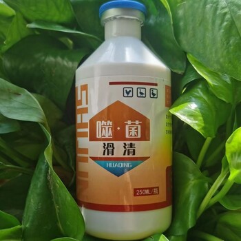 蛋雞養殖，滑液囊支原體為什么難防治？