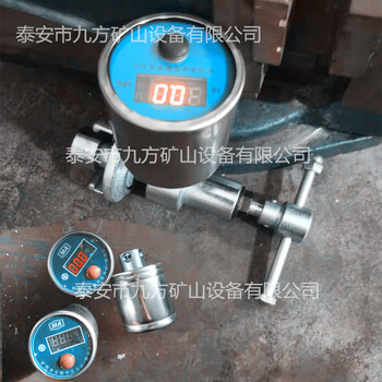 安陽市DZ-60型單體支柱測壓儀