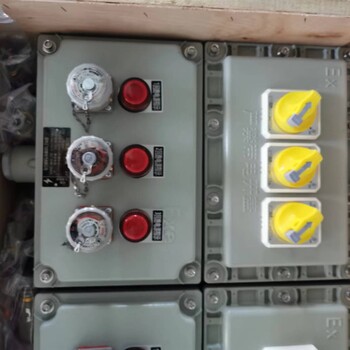BXX51-防爆動力檢修箱/防爆檢修電源箱