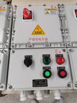 電伴熱帶防爆配電箱