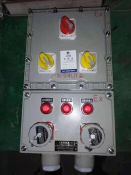 BXX51-防爆動力檢修箱/防爆檢修電源箱