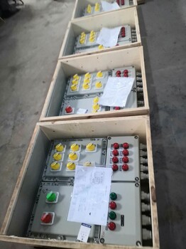 6回路防爆照明動(dòng)力配電箱廠家