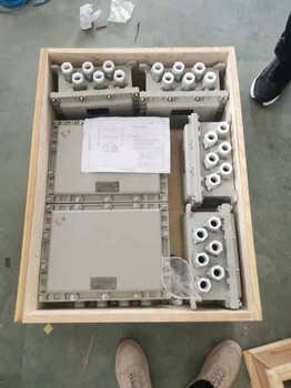 粉塵防爆接線箱
