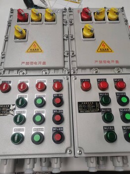 電機(jī)正反轉(zhuǎn)啟停防爆控制箱