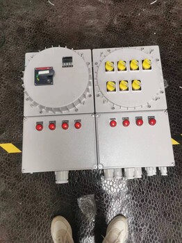 壁掛式防爆控制配電箱