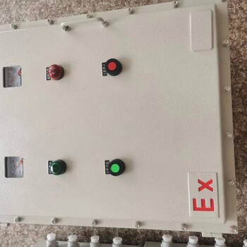 BXD防爆動力配電箱（電磁起動）非標定做