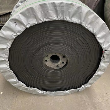 提升機鋼絲膠帶ST1250型