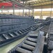 B1000寬波浪紋擋邊帶不分層不開膠
