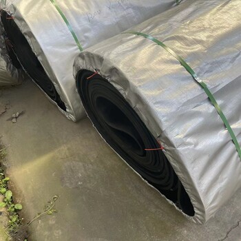 ST1250斗提機膠帶雙層防撕裂