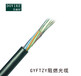 16芯室外光缆GYFTZY非金属阻燃光缆厂家--江苏东维通信