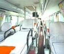即墨到杭州营运客车咨询中心图片