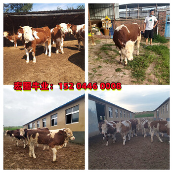 1677397669024194000-0.jpg@4e_1c_350w_350h_90Q