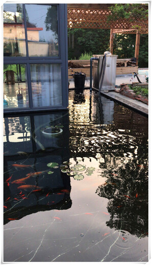 郴州杰蒙尼庭院鱼池过滤器规格