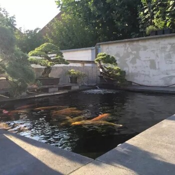 濟(jì)寧杰蒙尼假山魚池水處理規(guī)格