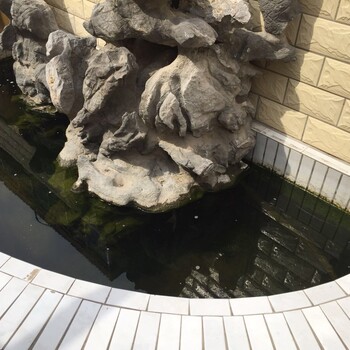 玉林杰蒙尼錦鯉魚池水凈化器廠家