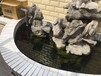 柳州杰蒙尼錦鯉魚池水凈化器信譽