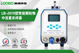 山東濰坊LB-120F（W）中流量小機型顆粒物采樣器