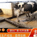 京金機(jī)械畜牧設(shè)備304不銹鋼刮糞機(jī)