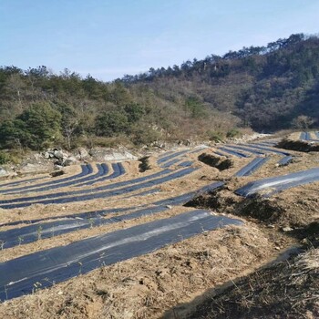 通辽打孔防草布厂家在哪里，海拉尔5年防草布价格及厂家电话